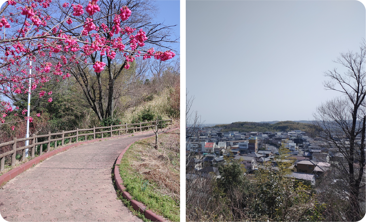 三重城山緑地（西坂部城址）